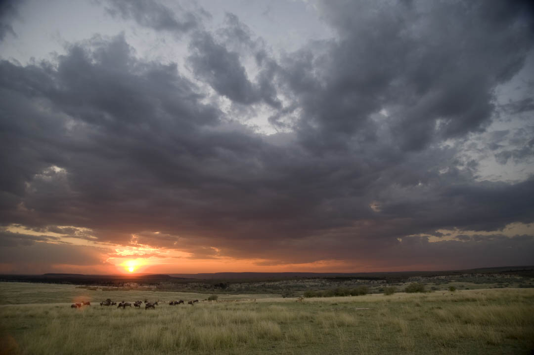 Maasai Mara — Wide country